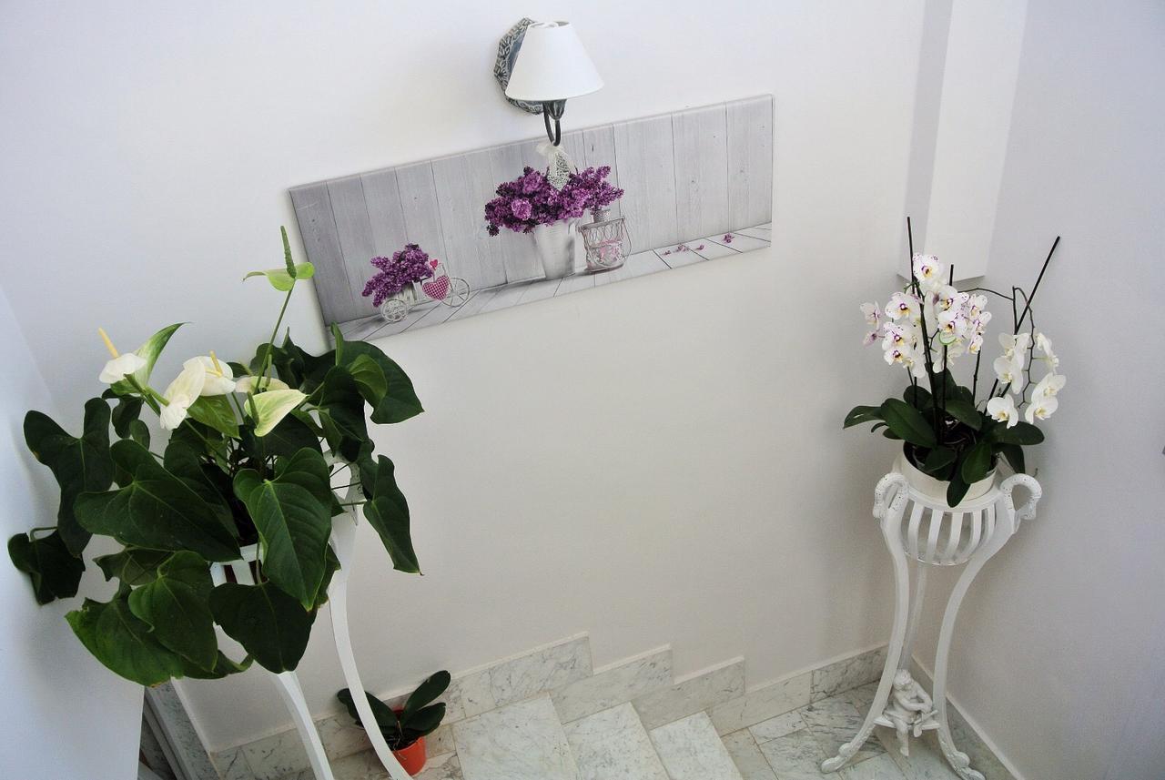 Bed and Breakfast Almasol Cassano delle Murge Esterno foto